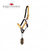 Set capastru + lesa