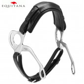 Hackamore Stubben