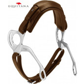 Hackamore Stubben