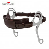 Hackamore Stubben