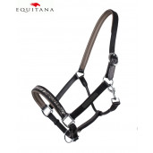 Capastru de piele Lupin