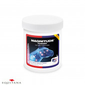 Supliment de magneziu Magnitude