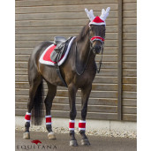 Blanita Frau Christmas