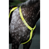 Pieptar reflectorizant Equi-Flector Shires