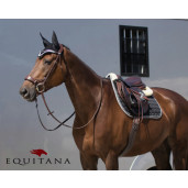 Chinga anatomica Lux QHP