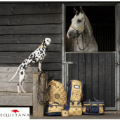 Lonja QHP Collection