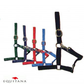 Capastru Tattini