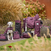 Geanta pentru cizme, QHP