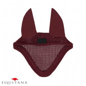 Capison Zahra, QHP