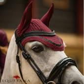 Capison Zahra, QHP