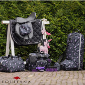 Geanta pentru produse de intretinere Lize, QHP