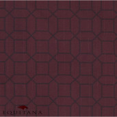 Geanta pentru cizme, QHP