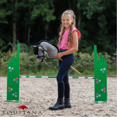Frau Hobby Horse, QHP