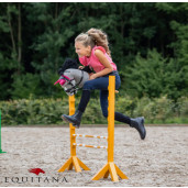 Frau Hobby Horse, QHP