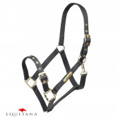 Capastru Shires Arma