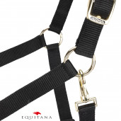 Capastru Shires Arma