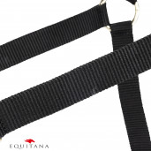 Capastru Shires Arma