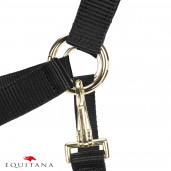 Capastru Shires Arma