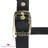 Capastru Shires Arma