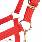 Capastru Shires Arma