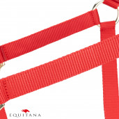 Capastru Shires Arma