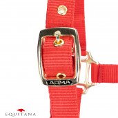 Capastru Shires Arma