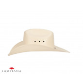 Palarie Scippis Parker