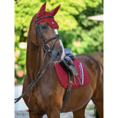 Capison Tommy Hilfiger Lexington