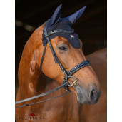 Capison Tommy Hilfiger Lexington