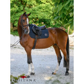 Valtrap Tommy Hilfiger Upstate