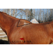 Protectie pentru trapez, Zilco