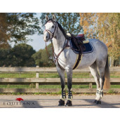 Jambiere cu blanita Ontario