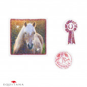 Caiet cu stickere Loesdau