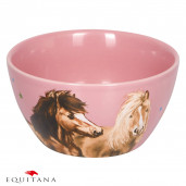 Bol cu caluti Loesdau