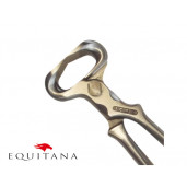 Cleste Icar Blacksmith