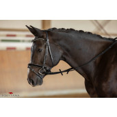 Darlogi din panza Kerbl