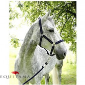 Capastru Liam, Kerbl