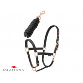 Set capastru cu lesa Daslo Gold, Tattini