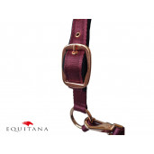 Set capastru cu lesa Daslo Gold, Tattini