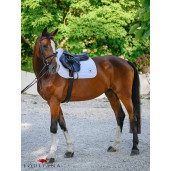 Valtrap Tommy Hilfiger Upstate