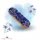 Ecler Candy Horse Cornflower