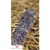 Ecler Candy Horse Cornflower