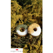 Gogosi cu galbenele si patrunjel Candy Horse