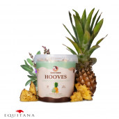 Recompense cu ananas si salvie Candy Horse Hooves