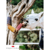 Jucarie din lemn Candy Horse Happiness