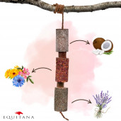 Jucarie din lemn Candy Horse Relax