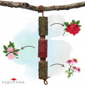 Jucarie din lemn Candy Horse Immunity