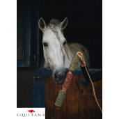 Jucarie din lemn Candy Horse Immunity