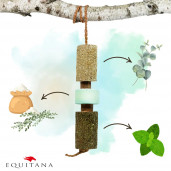 Jucarie din lemn Candy Horse Breath