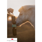 Jucarie din lemn Candy Horse Breath